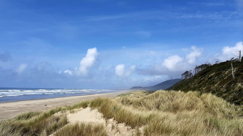 Sand dunes on an undeveloped beach with misty mountains in the distance.