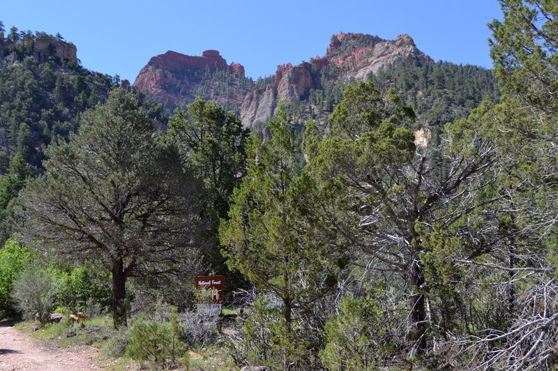 At the trailhead.