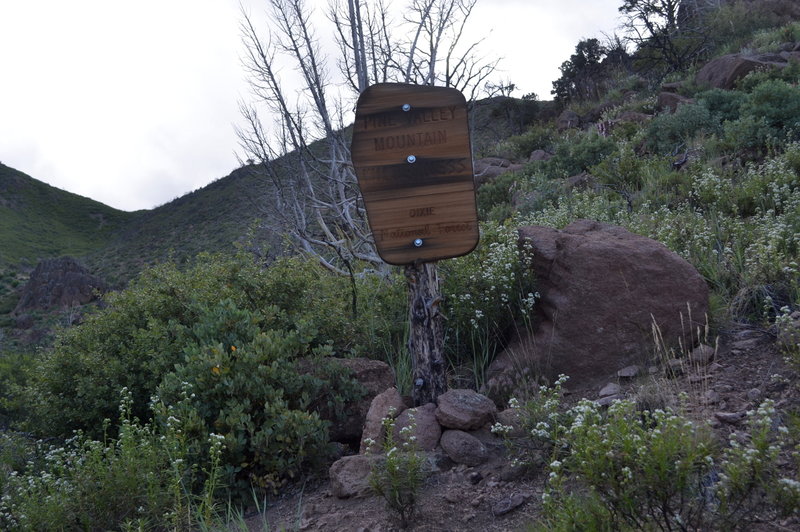 At the wilderness boundary. Pine Valley Wilderness.