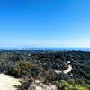 Great view of the Pacific and Santa Monica.