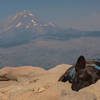 Mount Jefferson slightly obstructed by smoke from the 2020 Lionshead fire and a sleepy dog on top of Marion Mountain.