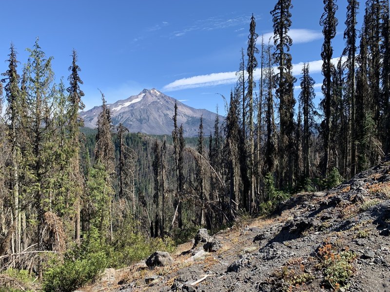 Mount Jefferson from Triangulation Peak Trail not far east of the peak.