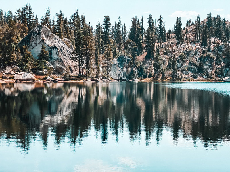 Reflection of the tree line on Lake Rodgers