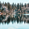 Reflection of the tree line on Lake Rodgers