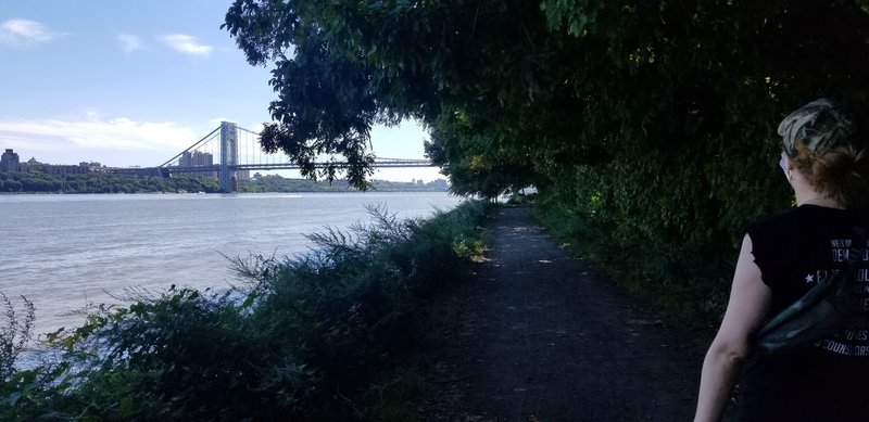 Shore trail at the river's edge. Overhanging shade creates a cool cavernous feel.