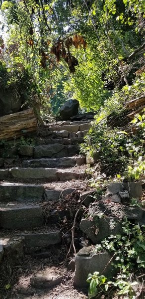 Stone path and stairs after entering the Carpenter's Trail. Ascent after Shore Trail.