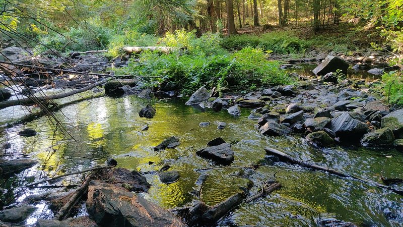 Bellamy river running water