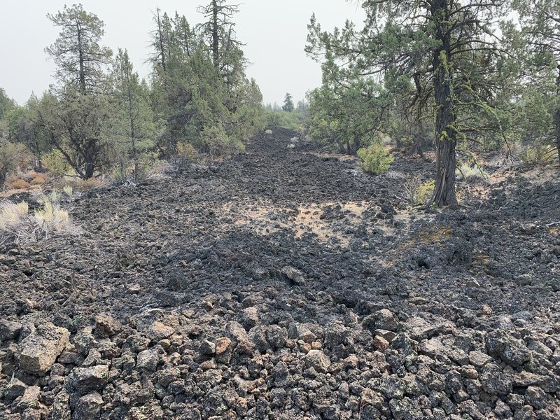 Lava field