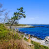 The Ocean Loop Trail