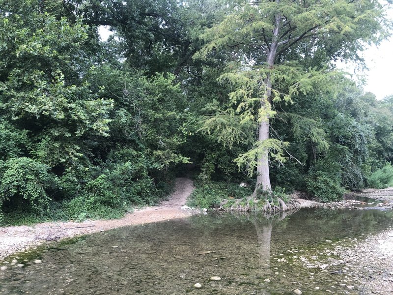 One of countless views of the Onion Creek.