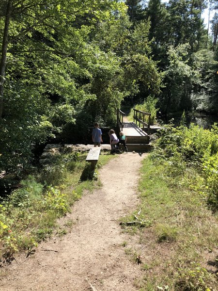 Blue Trail at Fisherville Brook Wildlife Refuge.