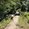 Blue Trail at Fisherville Brook Wildlife Refuge.