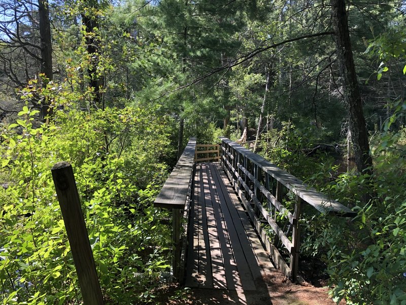 Blue Trail at Fisherville Brook Wildlife Refuge.