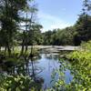 Blue Trail at Fisherville Brook Wildlife Refuge.