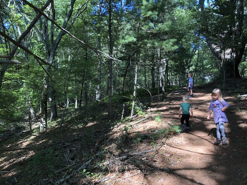 Red Trail at Fisherville Brook Wildlife Refuge.