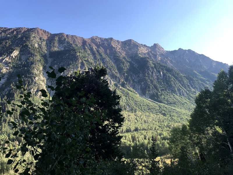 Looking back into Little Cottonwood Canyon.