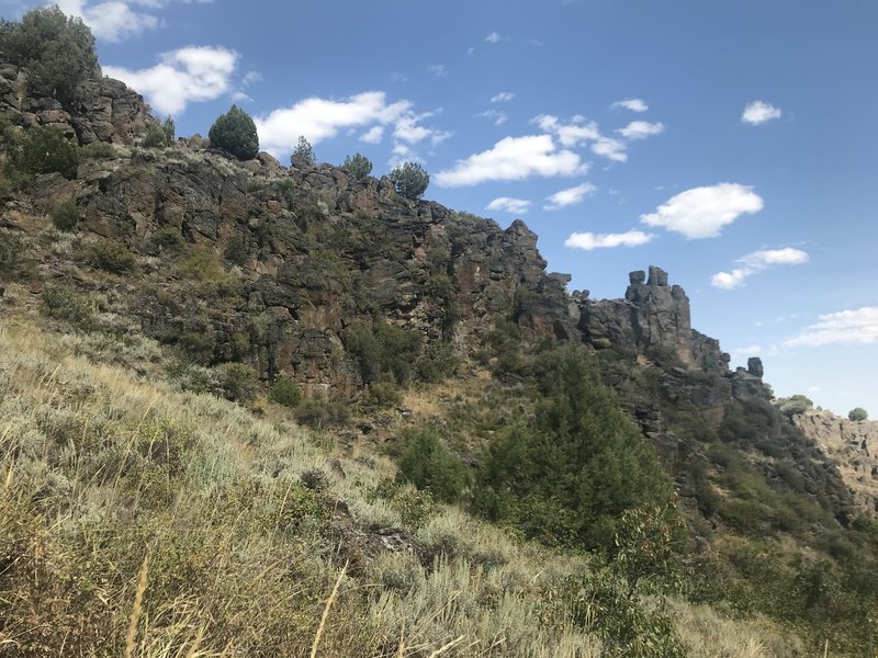 Rhyolite cliffs above Trapper Creek.