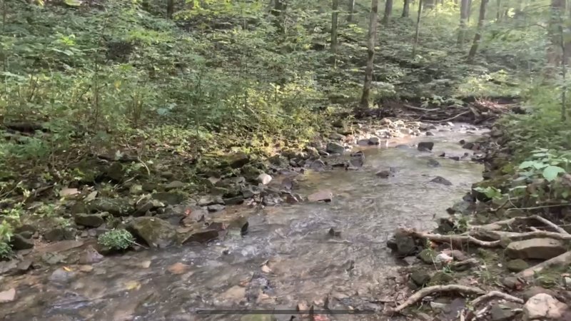 In the last two miles or so of the loop, it's the only solid water source along the Buffalo Creek-Collie Ridge loop. Pretty cold. Photo taken in early September.