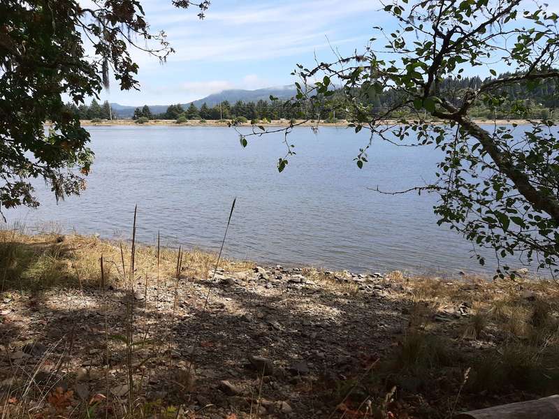 A rocky, grassy beach on the Nehalem River viewed through a screen of branches.