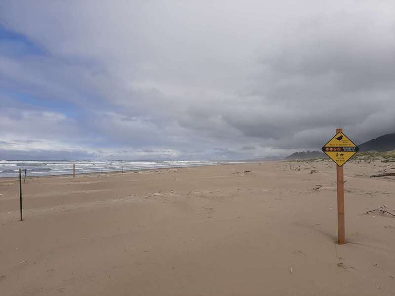 A sign on the beach warning hikers about nesting plovers.