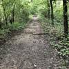 Near the beginning of the Oxbow Lake Trail.