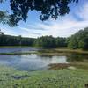 This lake has a beautiful trail and views of the lake from all angles. Look for turtles on fallen trees in the water. They like to bask in the sun.