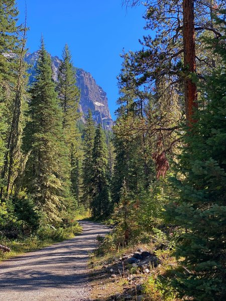 Mountains loom above the trail.