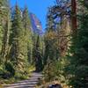 Mountains loom above the trail.