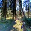 Intersection with North Fork of the Hellroaring Creek.