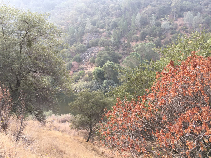 Beautiful trees along the trails.