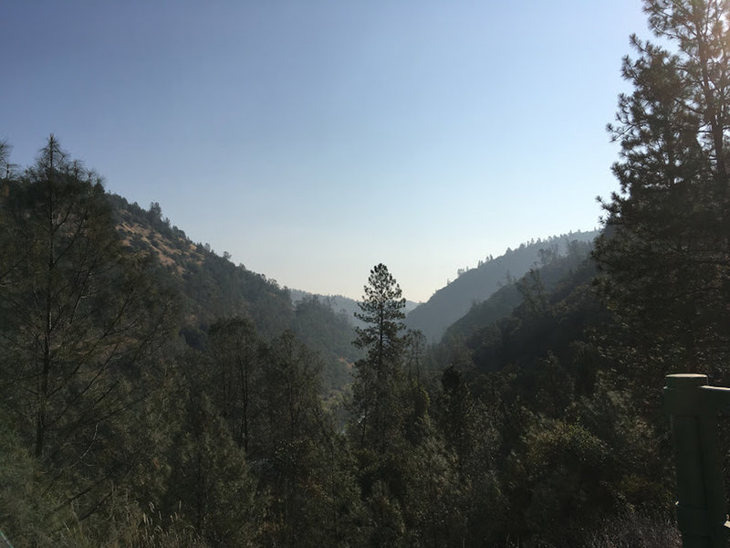 Treetops and Mountainsides