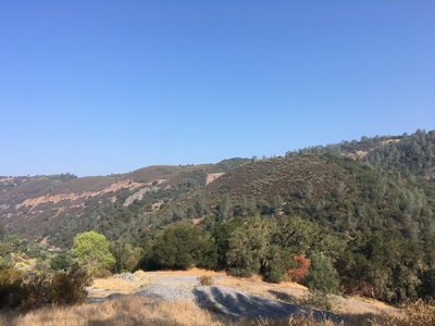 So quiet along the trail