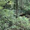 The CCC Bridge across Coal Creek. The Civilian Conservation Corps built this in the 1930's.