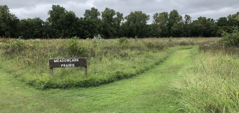 The Meadowlark Prairie in the Oxley Nature Center.