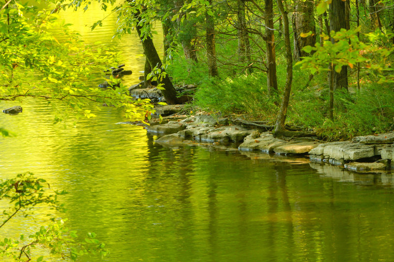 Very Relaxing Forest and Lake Trail.