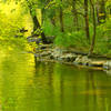 Very Relaxing Forest and Lake Trail.