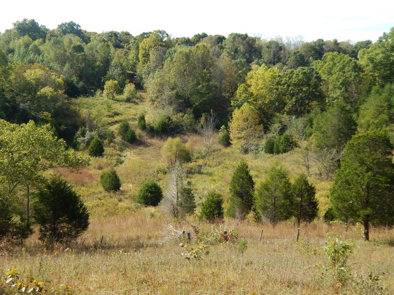 At the prairie section.