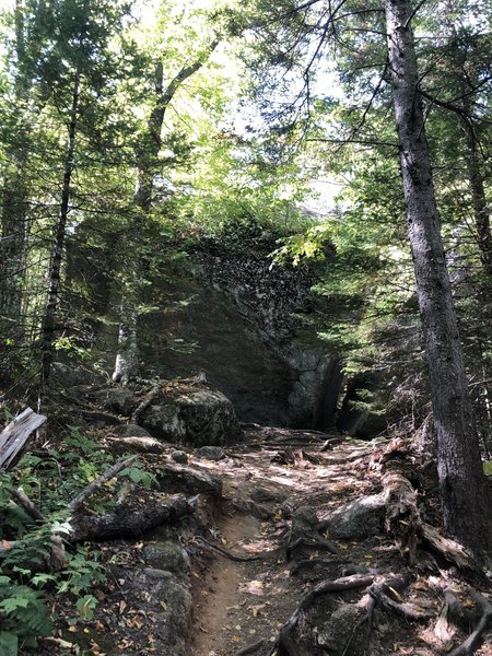 You'll pass through a small boulder field on the way up the Sugarloaf Trail