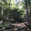 You'll pass through a small boulder field on the way up the Sugarloaf Trail