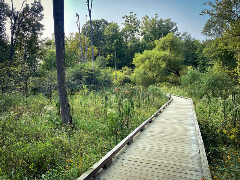 Boardwalk section of Holbrook Hollows' Old Ironsides Run.