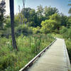 Boardwalk section of Holbrook Hollows' Old Ironsides Run.