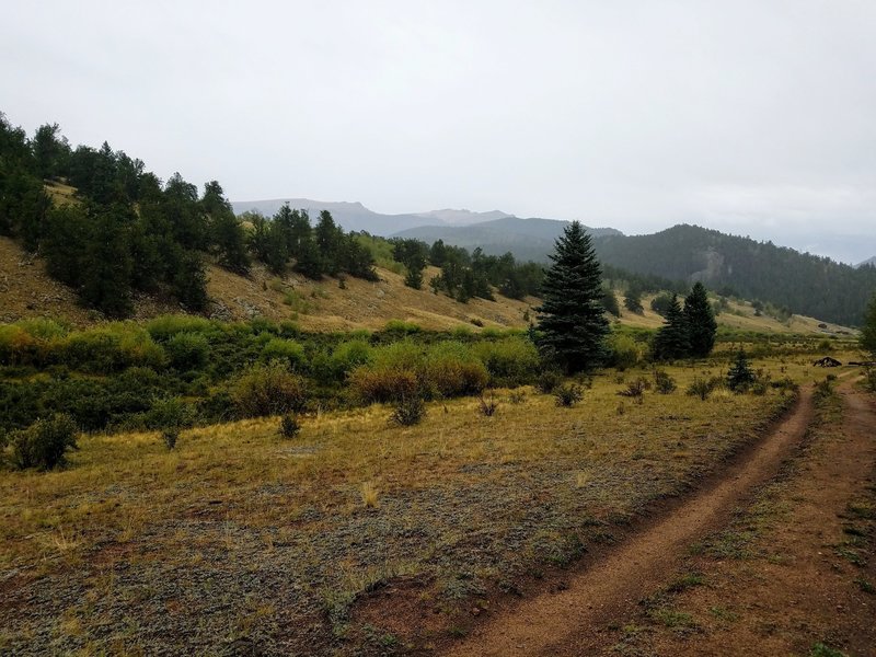 Rock Creek Gulch