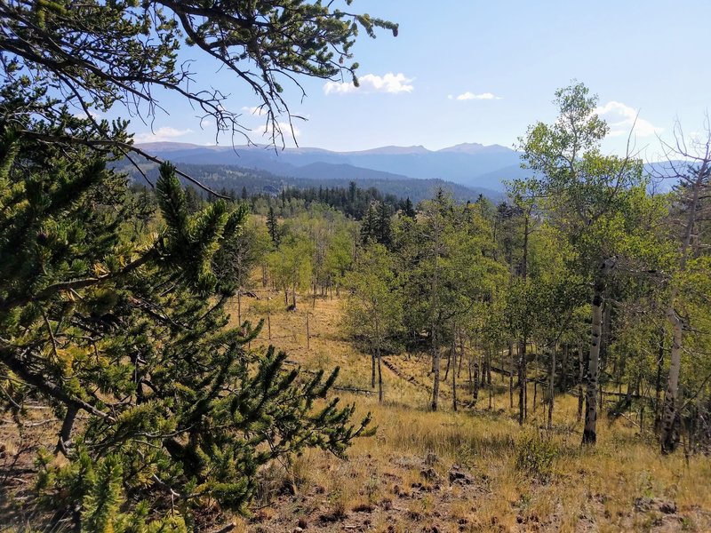 Views of Kenosha Mountains