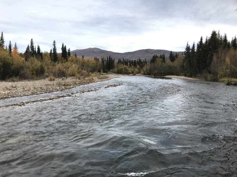 North Fork Chena River adjacent to Walking Trail