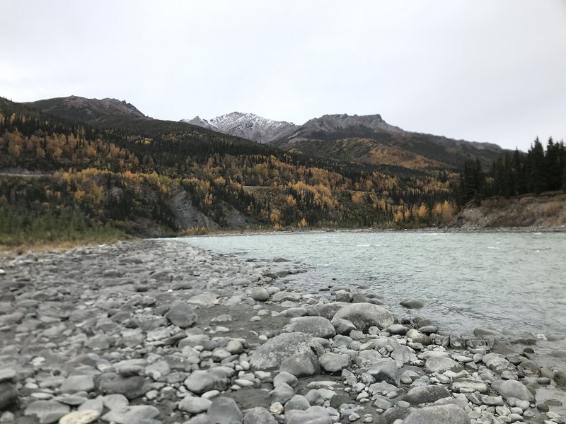 Walk out to the rushing waters of the Nenana River on northside of this trail!