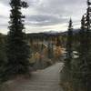 Entrance of Horseshoe Lake Trailhead, looking back towards railroad tracks