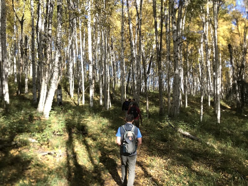 Typical trail through the Outer Loop