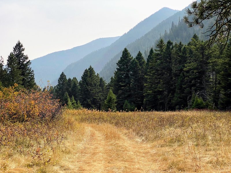 Smoky day in Gallatin Canyon.