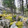 Mossy boulders along the trail.