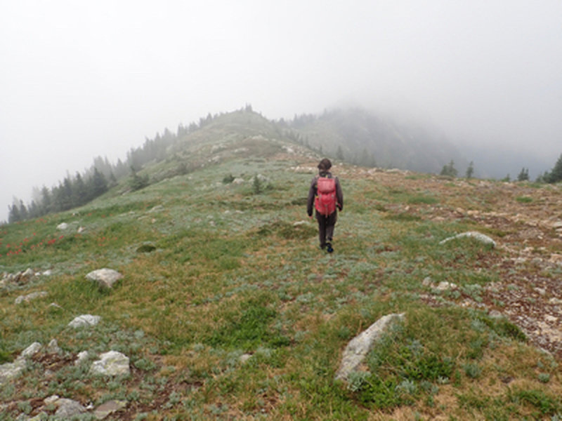 Walking a part of the ridgeline.